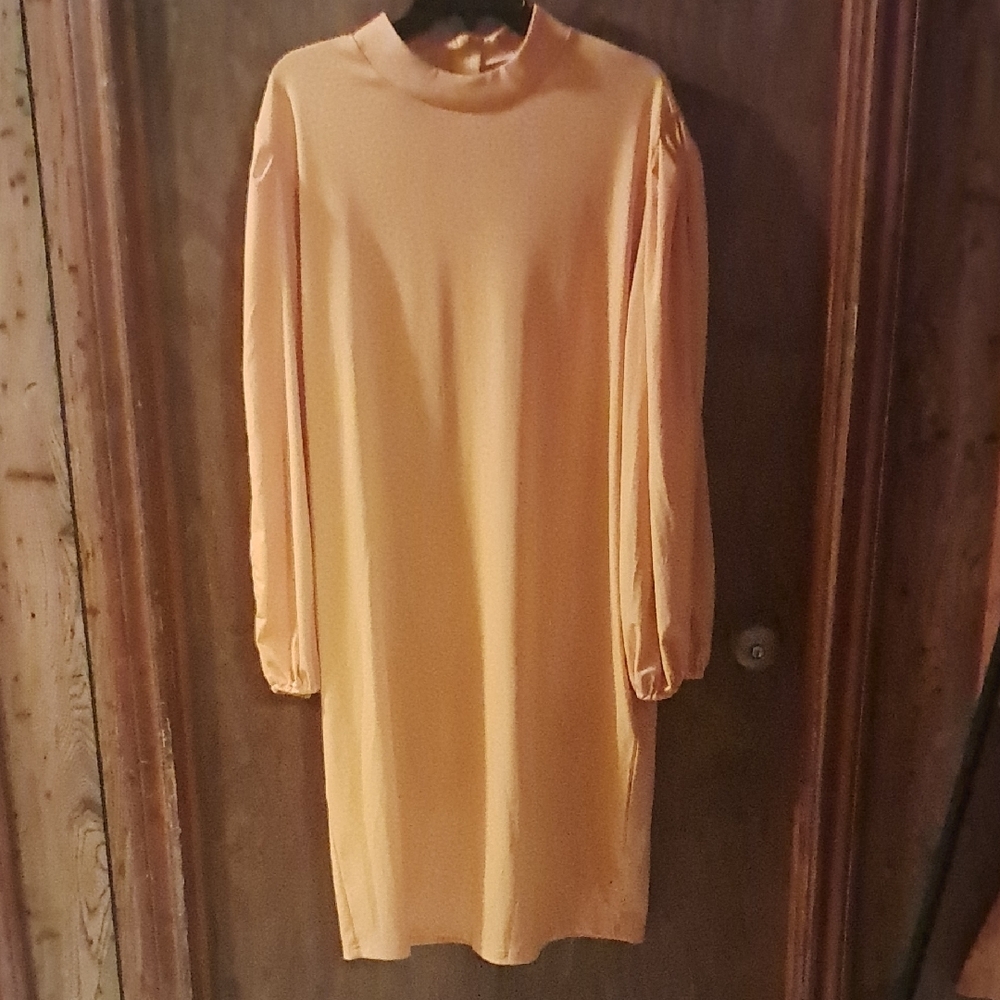 Elegant Peach Long Sleeve Dress